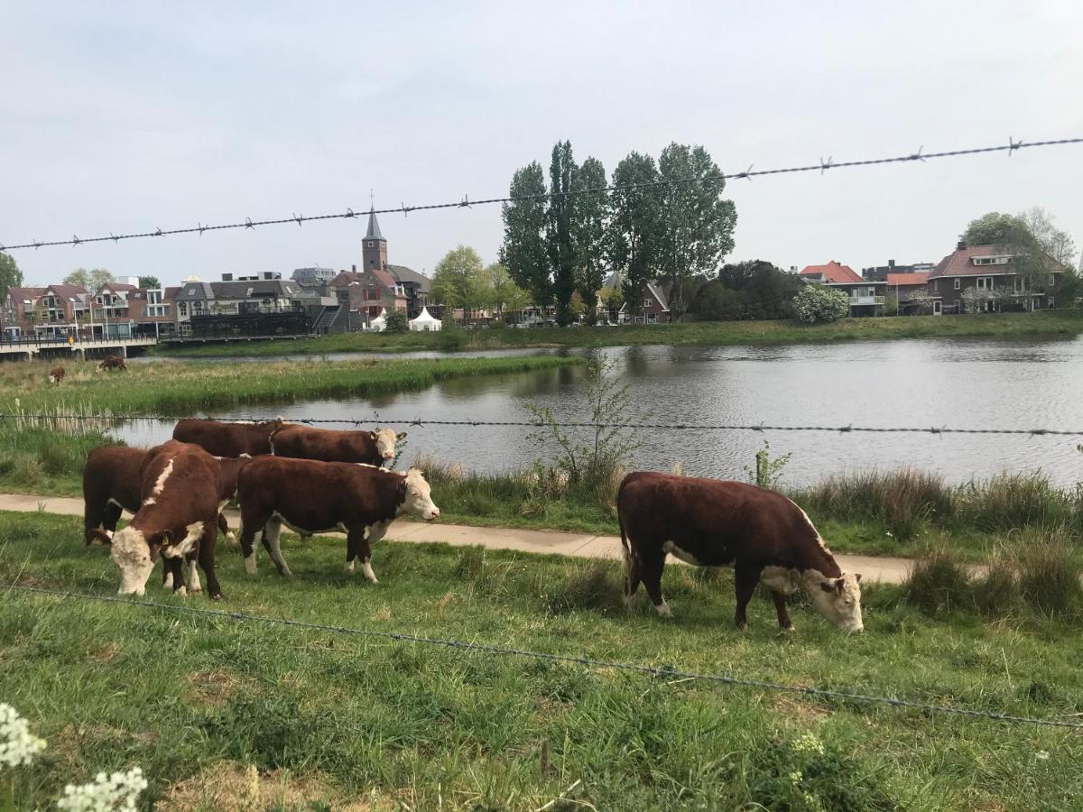 B&B Tussen Vecht En Veer Hardenberg Esterno foto